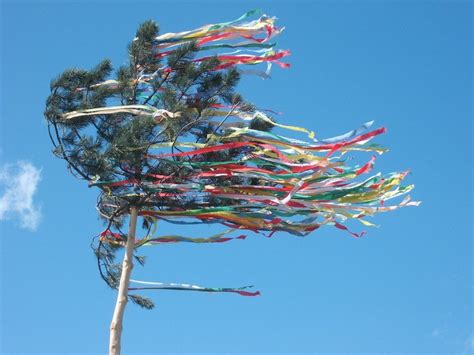 Maypole ribbons swinging in the wind free image download