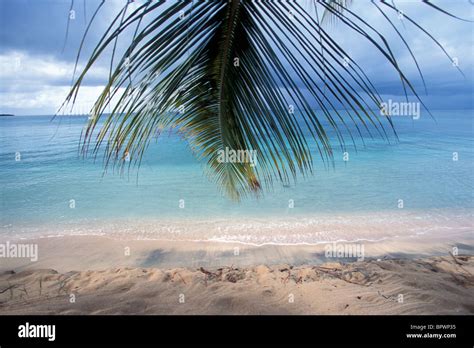 Vieques, Puerto Rico Stock Photo - Alamy