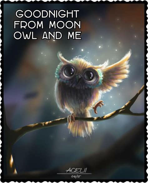 Pin by Sue Shirley-Hageman on Good night | Owl, Owl wallpaper, Baby owls