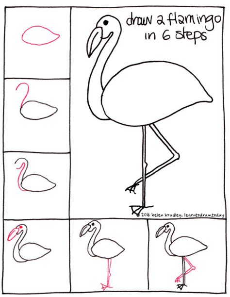 Learn to Draw A Flamingo in 6 Steps : Learn To Draw