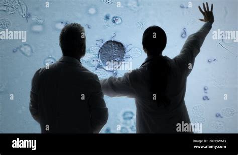 Sperm egg microscope Stock Videos & Footage - HD and 4K Video Clips - Alamy