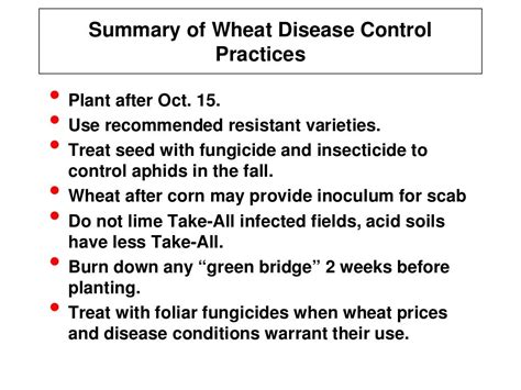 wheat diseases