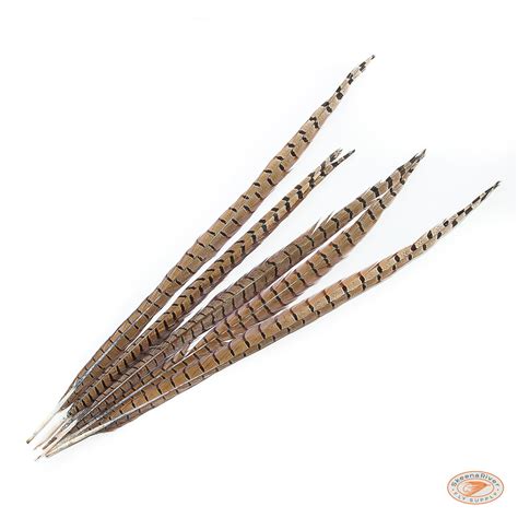 Ring Neck Pheasant Tail Feathers | Quality Fly Tying 101