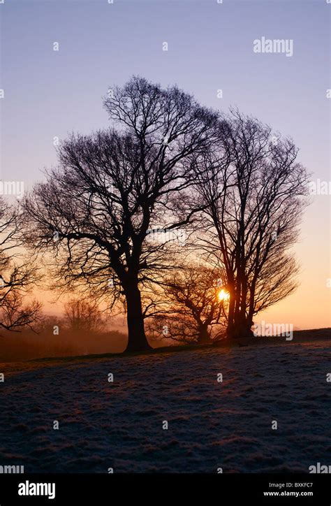 East Sussex Countryside Stock Photo - Alamy