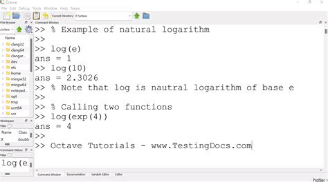 Octave Logarithm Functions[ 2024 ] - TestingDocs.com