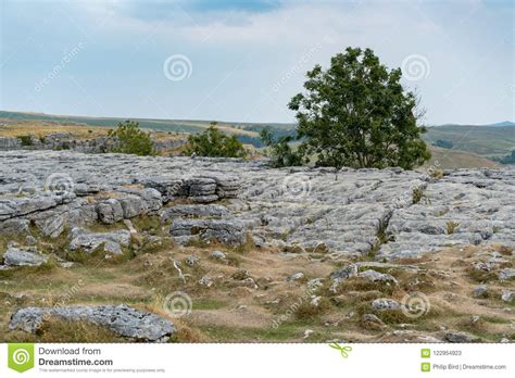 View of the Limestone Pavement Above Malham Cove in the Yorkshire Dales ...