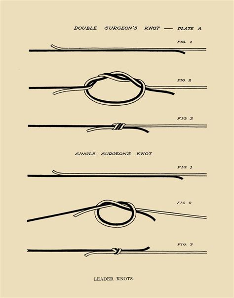 Printable Fly Fishing Knots - Printable Templates