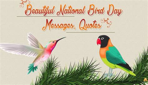 National Bird Day Messages, Quotes and Greetings – Sample Messages