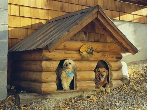 Rustic dog house for my Rottweiler~ | buildings | Pinterest | Rustic dog houses, Dog houses and ...