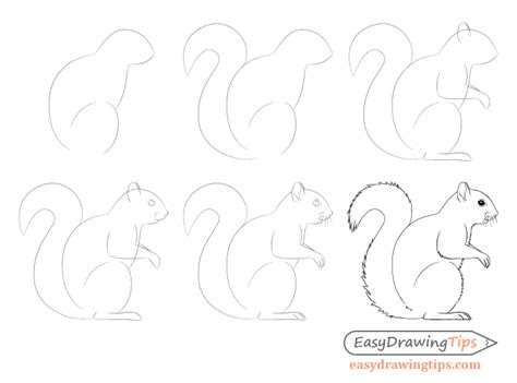 How to Draw a Squirrel From the Side View Tutorial - EasyDrawingTips