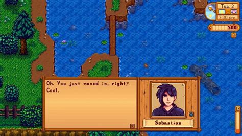 Who is Sebastian in Stardew Valley? The complete guide