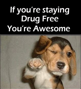 50 Anti Drugs Slogans, Posters and Memes for Kids