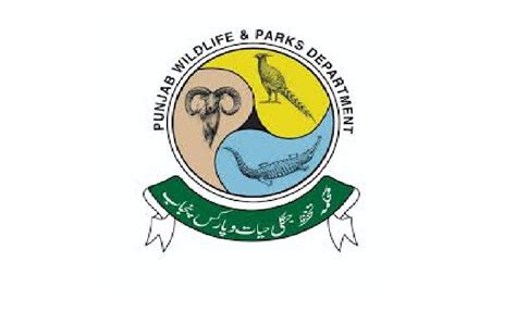 Punjab Wildlife and Parks Department Jobs 2021