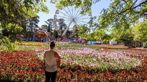 Floriade 2021 - Concrete Playground