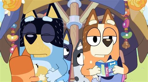 ‎Bluey, Camping and Other Stories | Tv seasons, Babysitter, Staying up late