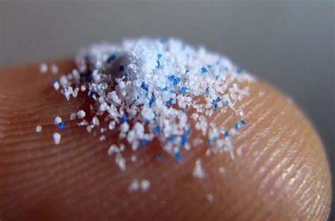 Research Needed into Human Consumption of Microplastics - DCU Water Institute