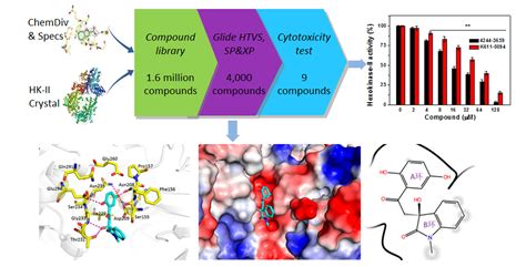 Molecules | Free Full-Text | Virtual Screening and Biological Activity ...