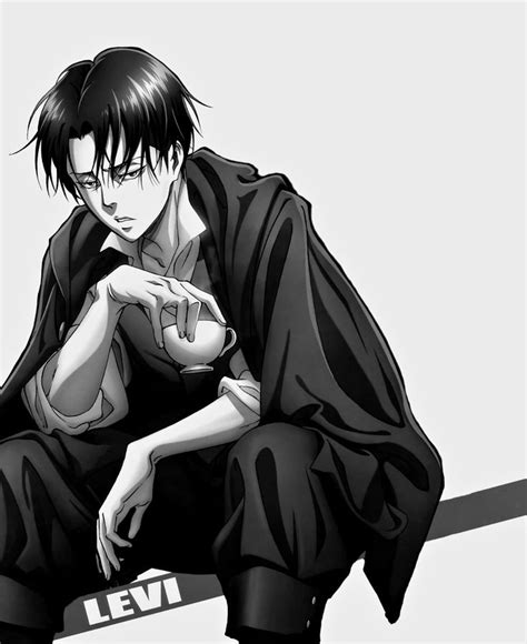 635 best Levi!! images on Pinterest | Levi ackerman, Shingeki no kyojin and Captain levi