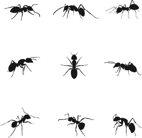 silhouette ant set bundle - free vector 10756585 Vector Art at Vecteezy