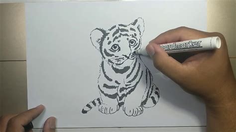 How To Draw A Baby Tiger Really Easy Drawing Tutorial