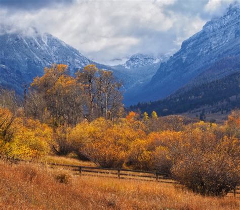 Reveling in Yellowstone's Fall Colors - A Yellowstone Life