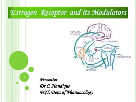 Estrogen receptor and its modulators