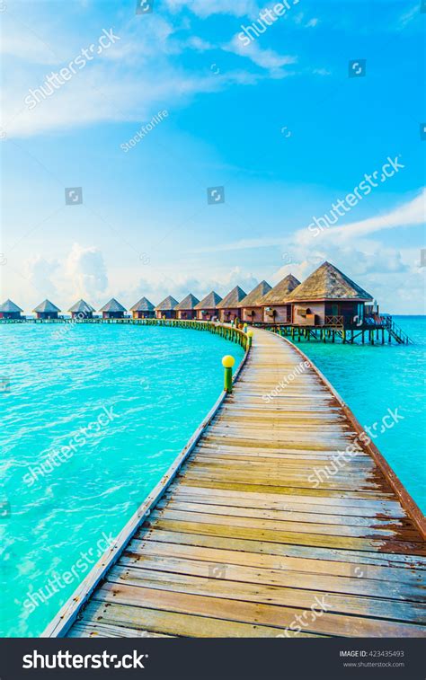 Beautiful Tropical Maldives Resort Hotel Island Stock Photo 423435493 | Shutterstock