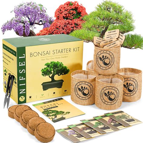 Buy Bonsai Tree kit -NIFSEL Bonsai Growing Kit - Complete Starter kit ...