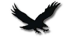 Waverly-Shell Rock Go-Hawks | MascotDB.com