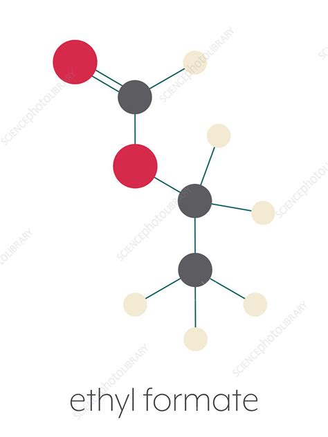 Ethyl formate molecule, illustration - Stock Image - F027/8588 ...