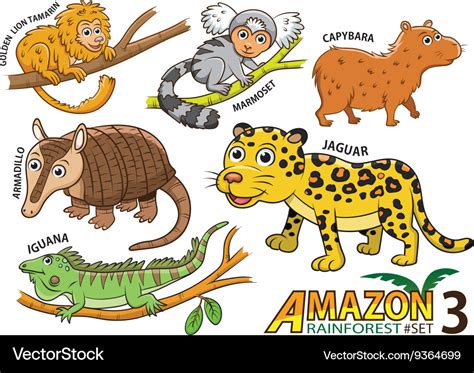 Set of cute cartoon animals in the amazon Vector Image