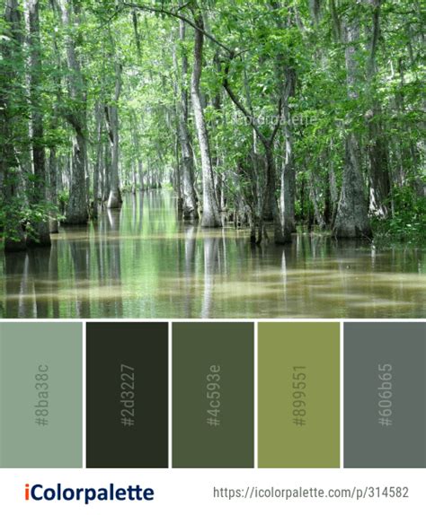 Color Palette Ideas from Swamp Water Bayou Image | Nature color palette ...