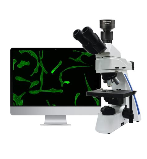 Fluorescence microscope - Hua Guan Lu, Tianhe Qu, Guangzhou Shi, Guangdong Sheng, China, 510663 ...