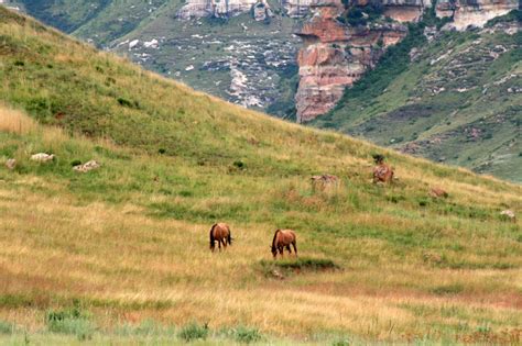 Secrets of the Golden Gate Highlands National Park