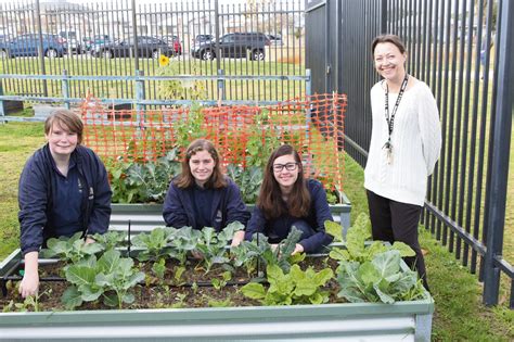 Ellenbrook Secondary College Eco Warriors doing its bit for the ...