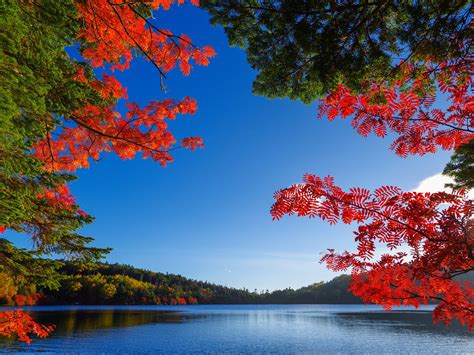autumn, Fall, Lake Wallpapers HD / Desktop and Mobile Backgrounds