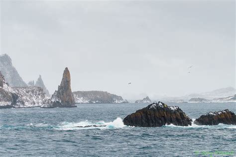 _DSC1045 | South Shetland Islands, Antarctica. The weather i… | Flickr