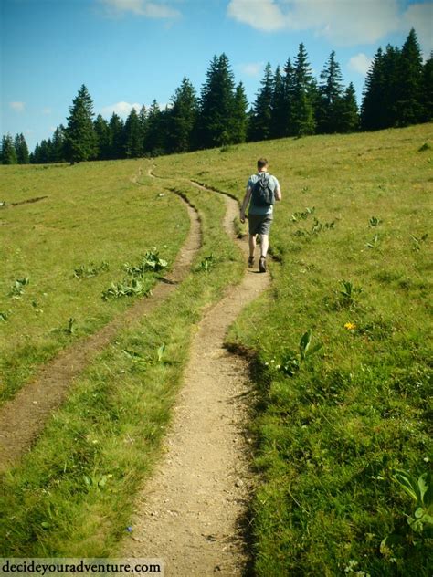 Hiking the Feldberg Steig in the Black Forest of Germany | Decide Your Adventure