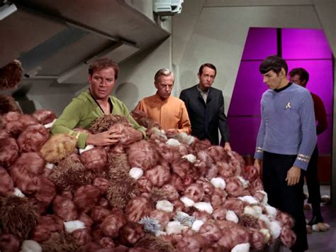 The Trouble with Tribbles | Through The Yarny Curtain