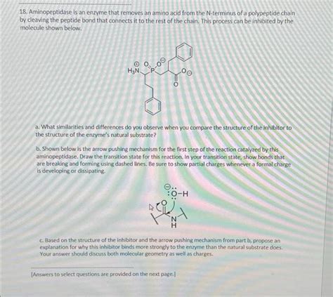 18. Aminopeptidase is an enzyme that removes an amino | Chegg.com