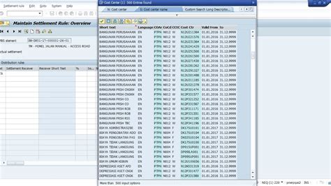 Tutorial SAP PTPN - CJ20N Settlement Project - YouTube