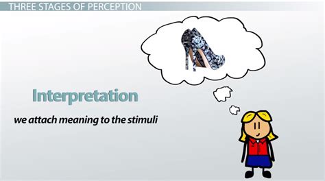 Perceptual Process Overview & Stages - Lesson | Study.com