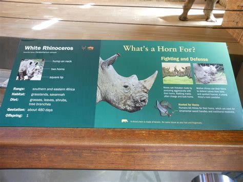 Bronx Zoo- Zoo Center- White Rhinoceros Exhibit Signage | Zoo signage ...