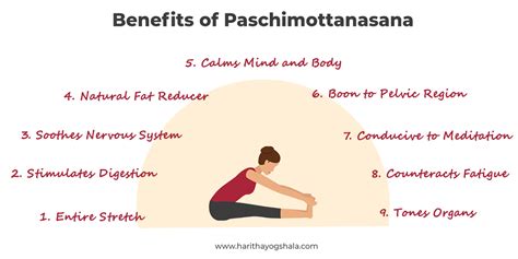 Steps & Benefits of Paschimottanasana (Seated Forward Bend)