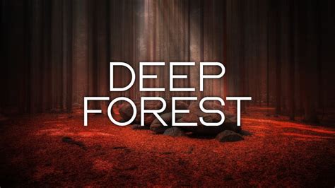 Deep Forest - Relaxing and Meditation Music - YouTube