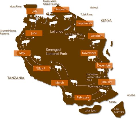 Your Guide To The Great Wildebeest Migration | Maasai Mara Reserve