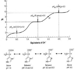 Histidine titration curve | Biochemistry, Chemistry class, Chemistry