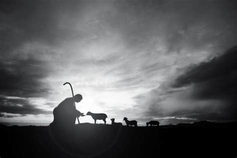 1,850 Shepherd Silhouette Stock Photos - Free & Royalty-Free Stock Photos from Dreamstime