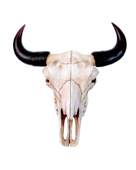 American buffalo skull with horns as decoration | horror-shop.com