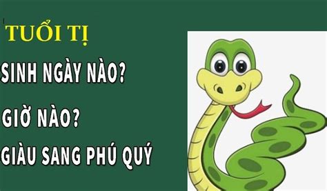 Người tuổi Tỵ sinh vào giờ, ngày, tháng nào tốt? - Vansu.net